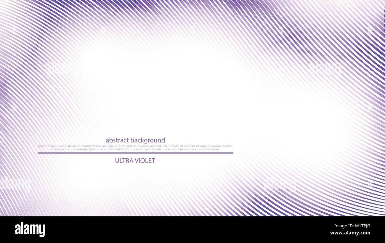 Violetta linee su sfondo bianco. vettore onde astratto wallpaper banner dinamico design. striato, telaio luminoso Illustrazione Vettoriale