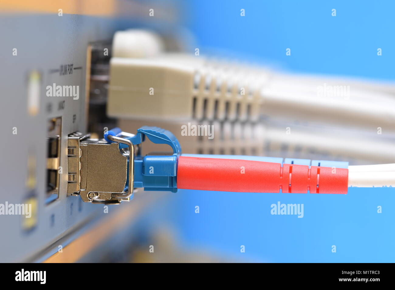 Fibra ottica cavo patch e cavi di rete collegato al commutatore in datacenter, primo piano Foto Stock