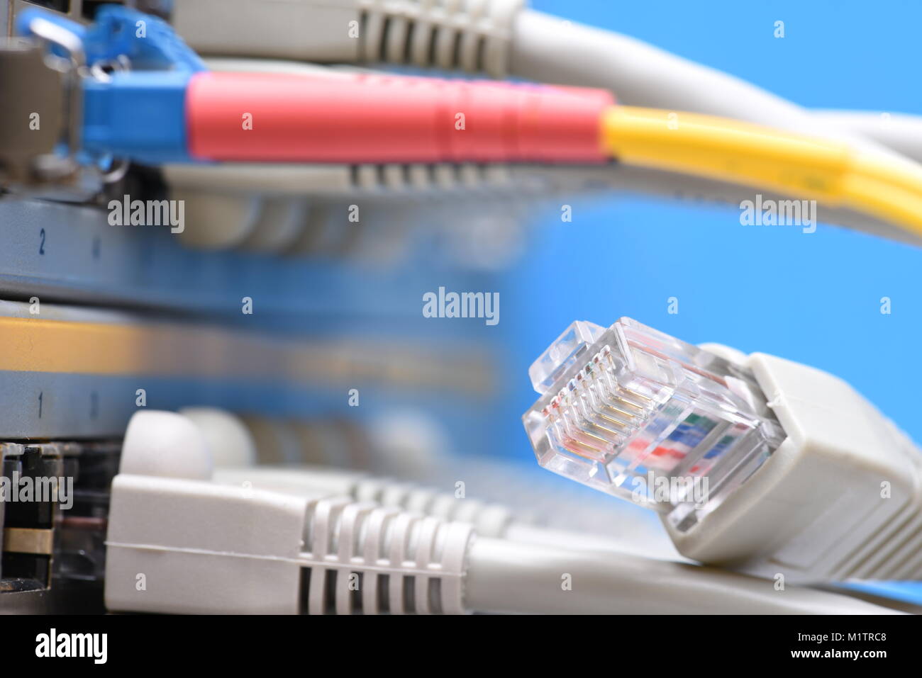 Fibra ottica cavo patch e cavi di rete collegato al commutatore in datacenter, primo piano Foto Stock