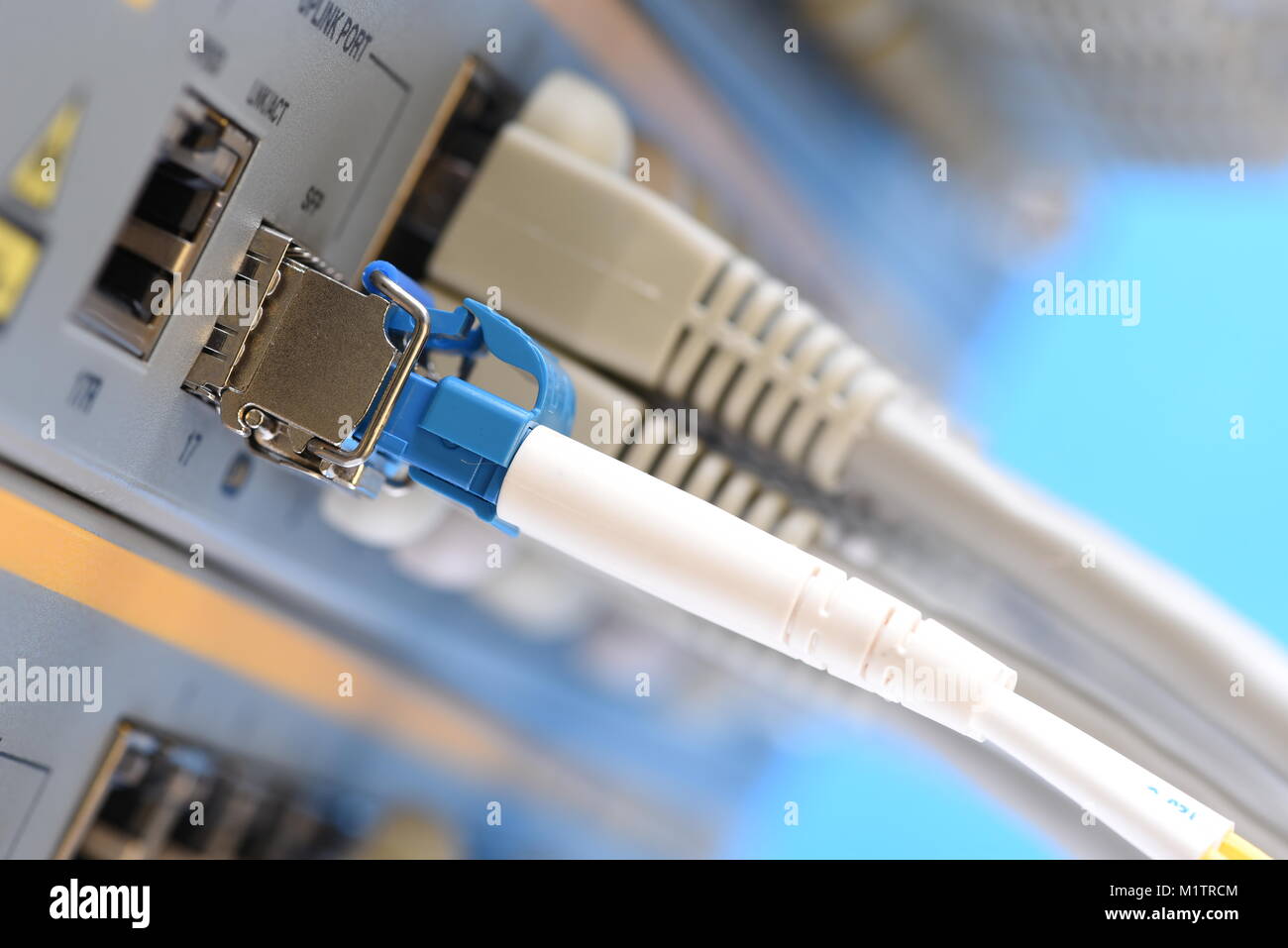 Fibra ottica cavo patch e cavi di rete collegato al commutatore in datacenter, primo piano Foto Stock