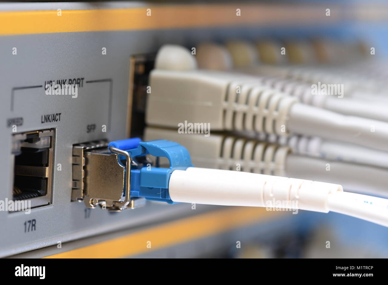 Fibra ottica cavo patch e cavi di rete collegato al commutatore in datacenter, primo piano Foto Stock