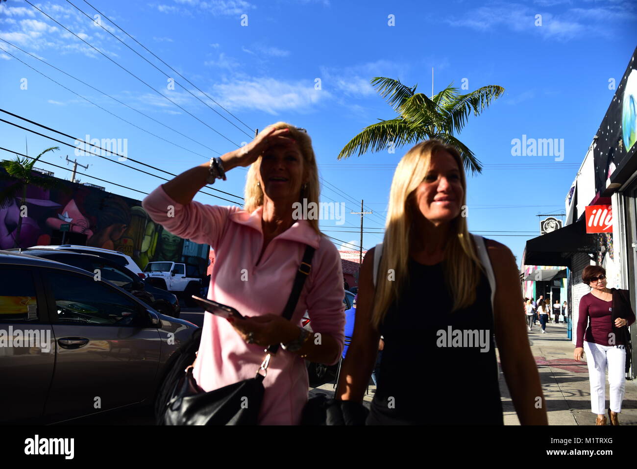 Il Wynwood Arts District si trova a Miami in Florida è sede di una comunità di gallerie d'arte, negozi di antiquariato, Open-air street-installazioni artistiche Foto Stock