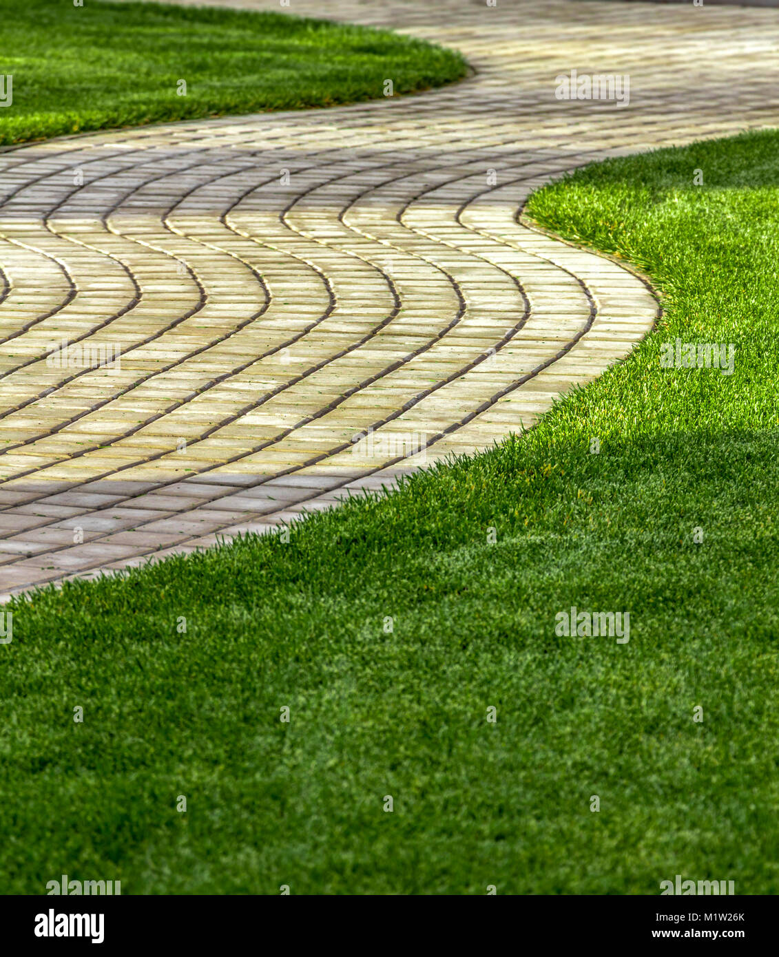 Fresato uniformemente l'erba del prato in cortile. Foto Stock