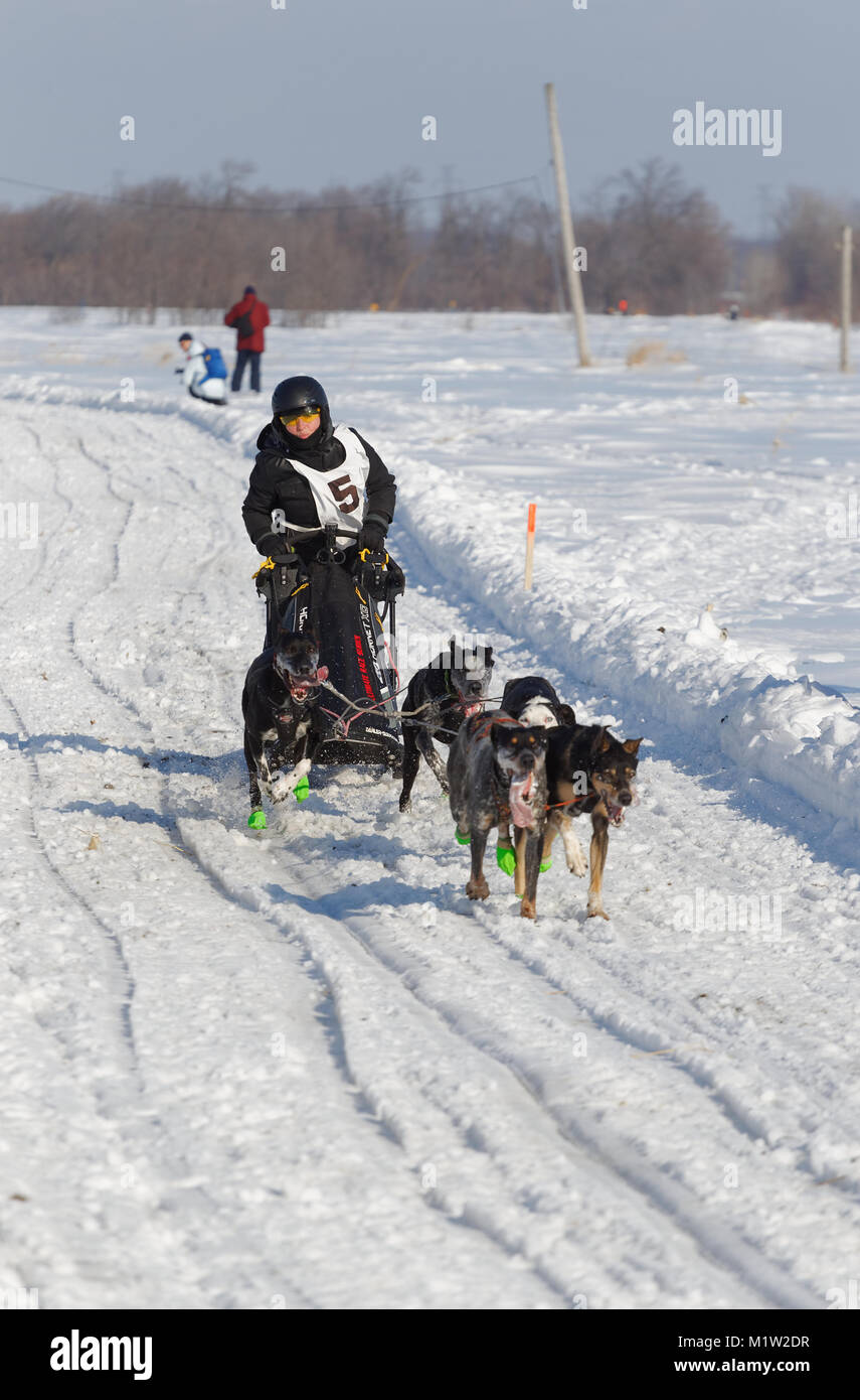 L'Epiphanie, Canada 1/28/2018 . Un musher e il suo team di cani in gara internazionale di corsa di cani da slitta di Lanaudiere, Foto Stock