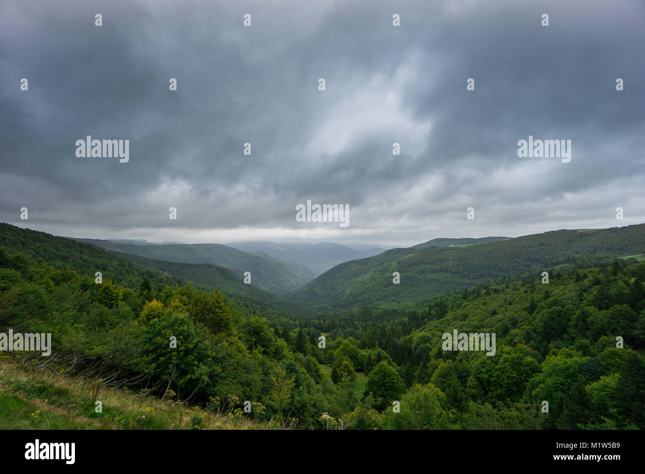 Francia - valle tra le montagne boscose dei Vosgi francesi in Alsazia Foto Stock