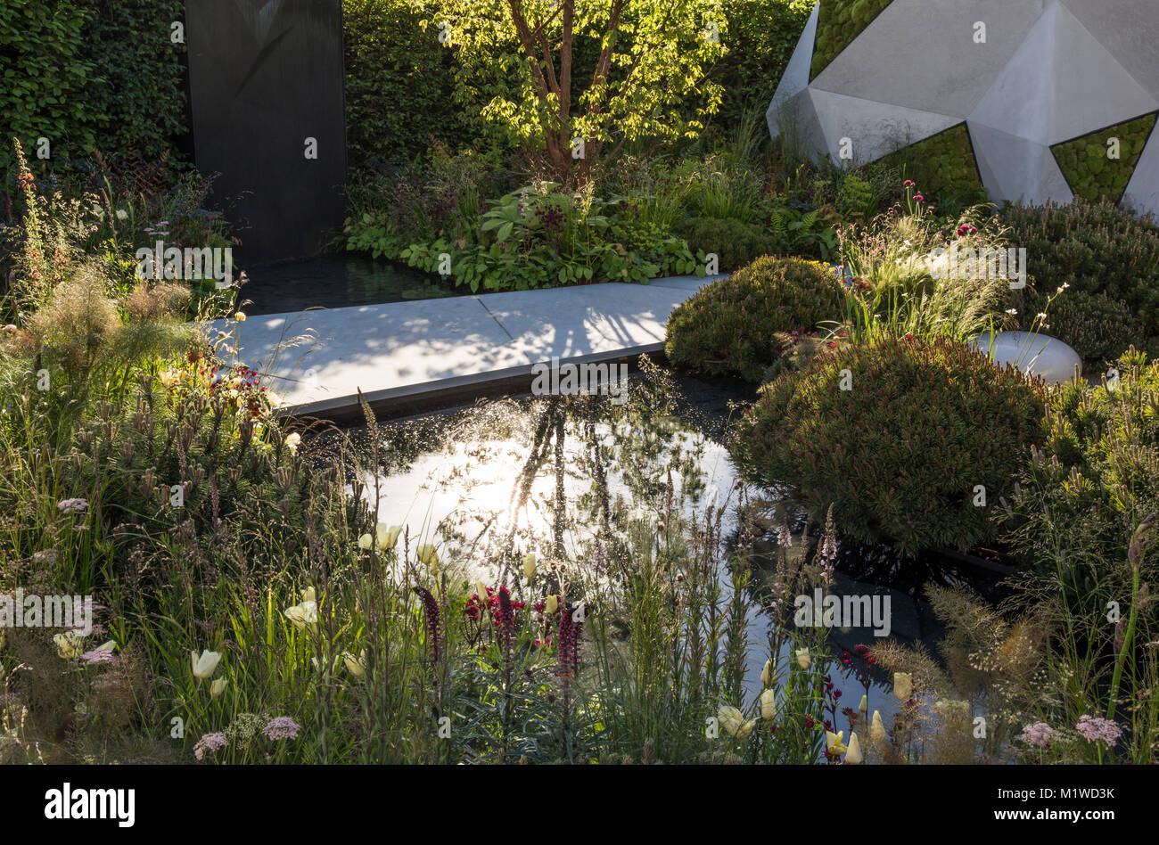 Giardino moderno con un sentiero, piccolo laghetto con giardino d'acqua caratterizzato da recinzione giardino contemporanea, confine con fiori estivi e erbe ornamentali, erba UK Foto Stock