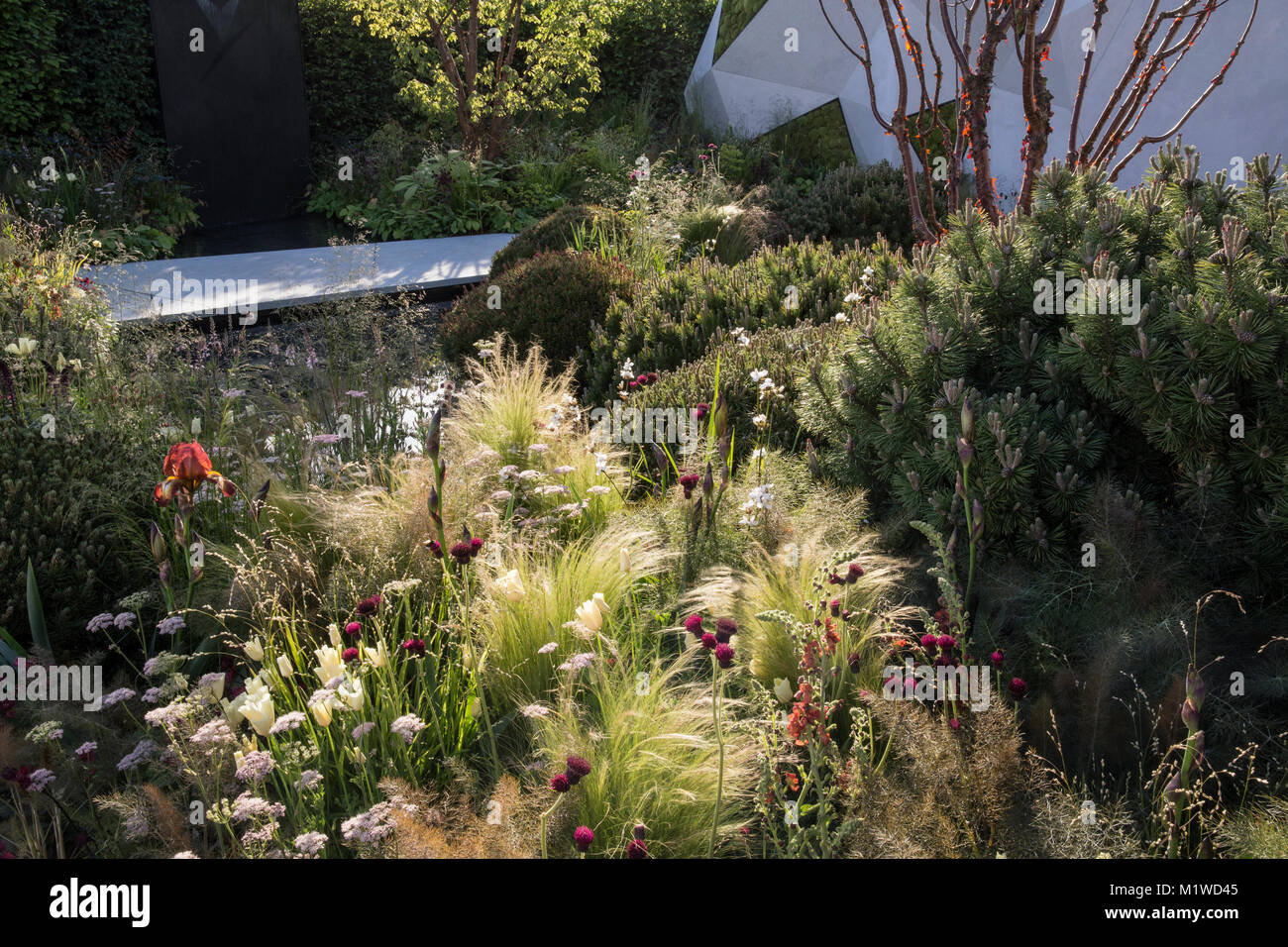 La BBC Radio 2 Jeremy Vine Texture giardino, RHS Chelsea Flower Show 2017 Foto Stock