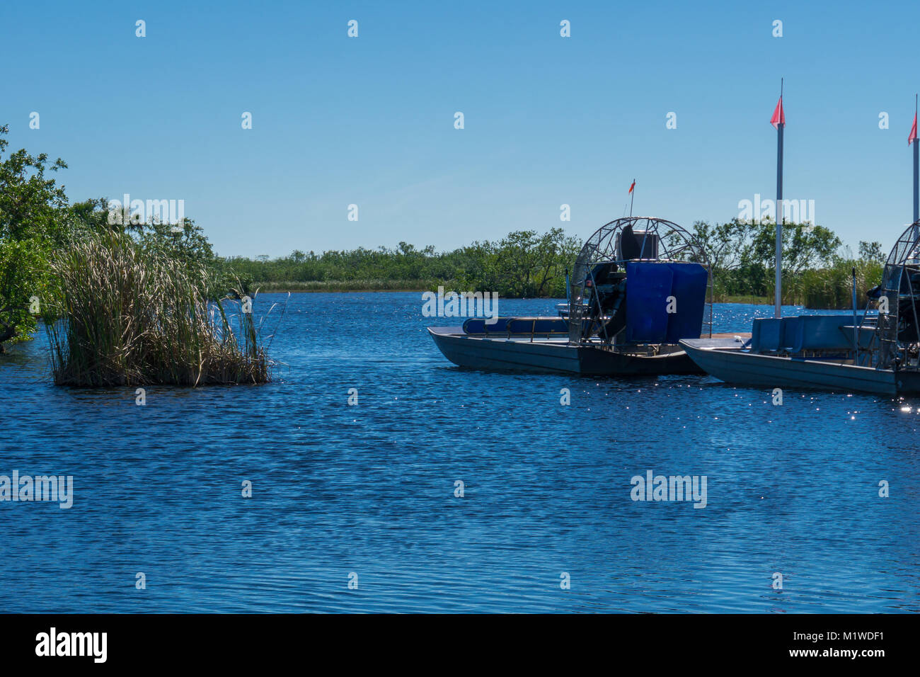 Stati Uniti d'America, Florida, due airboats con enormi eliche in acqua in Everglades Foto Stock