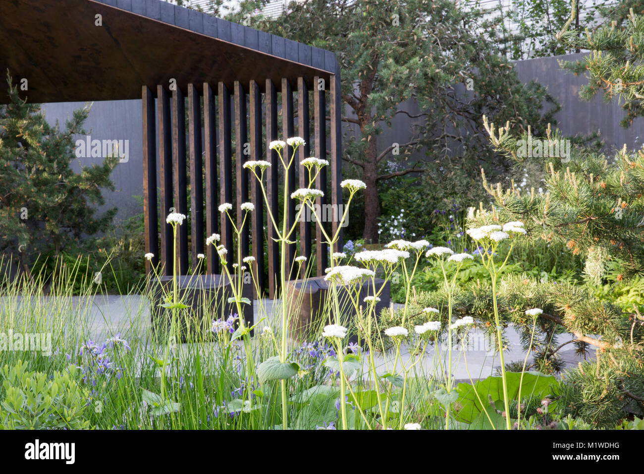 Banca del Canada giardino, il Chelsea Flower Show 2018 scuro passerella in legno sulla piscina, carbonizzati cubo di legno sede Foto Stock
