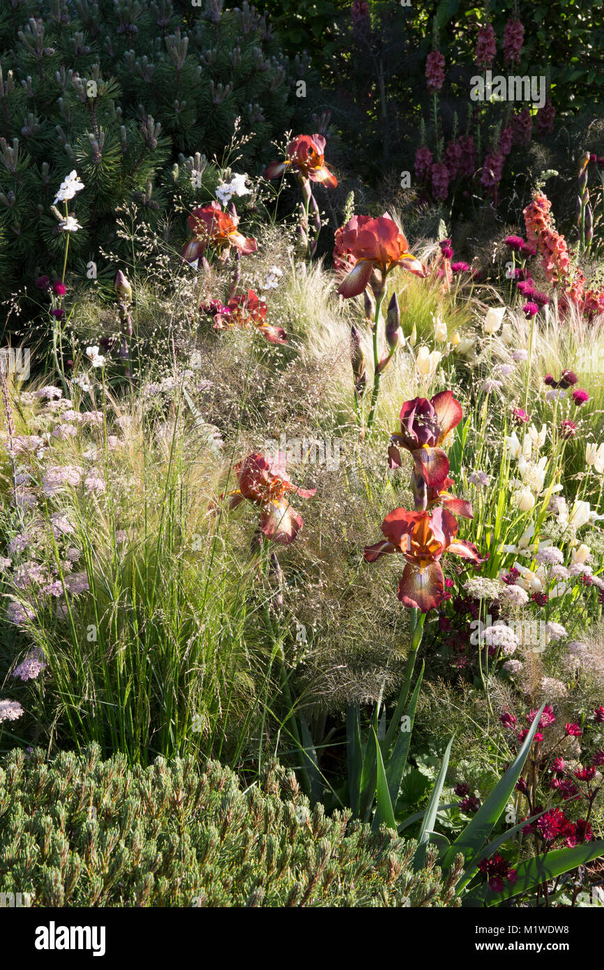 La BBC Radio 2 Jeremy Vine Texture giardino, RHS Chelsea Flower Show 2017 Foto Stock