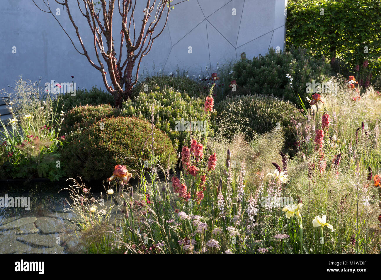 La BBC Radio 2 Jeremy Vine Texture giardino, RHS Chelsea Flower Show 2017 Foto Stock