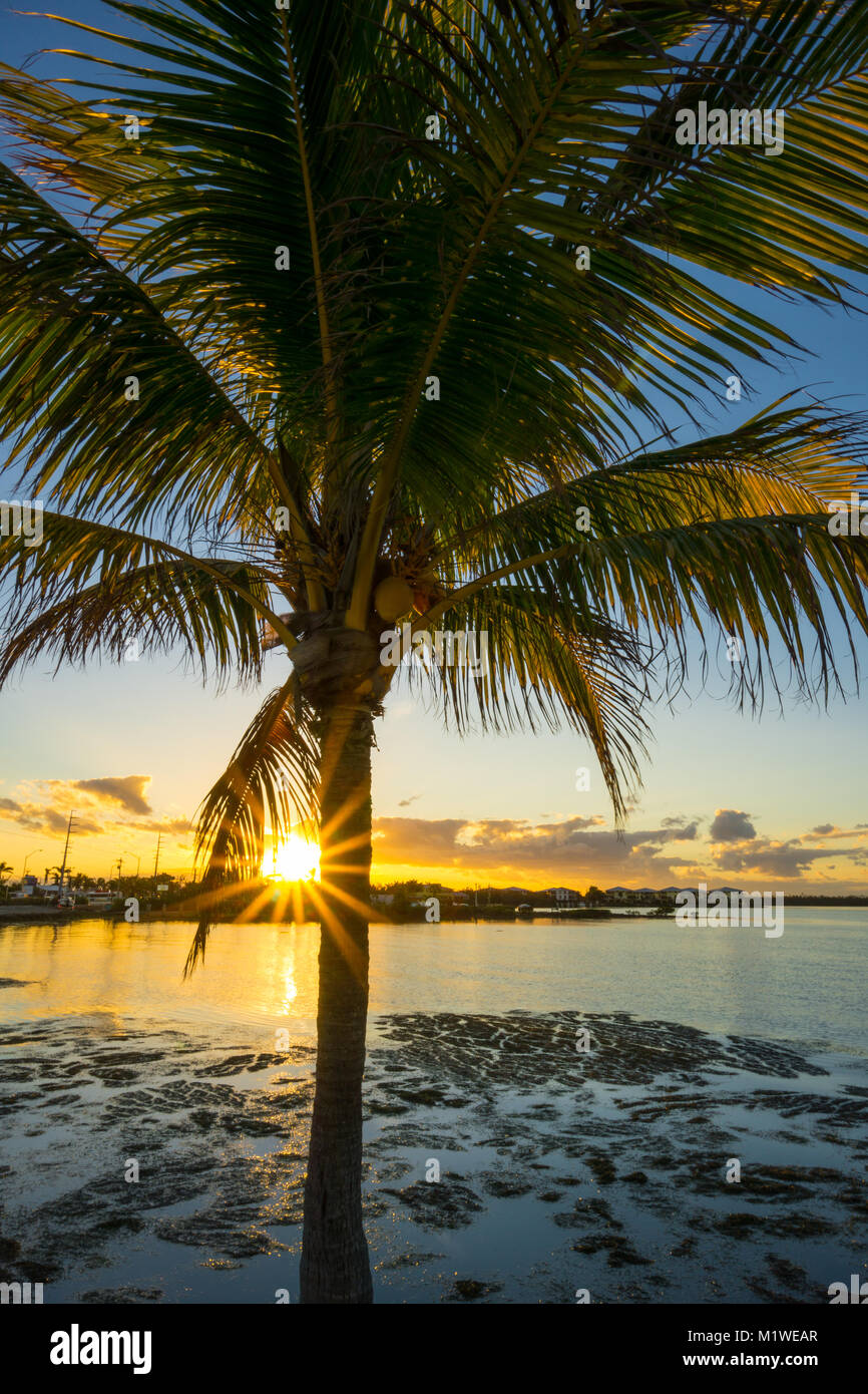 Stati Uniti d'America, Florida, caldo arancione tramonto dietro palme e oceano e sulla città di Florida Keys Foto Stock