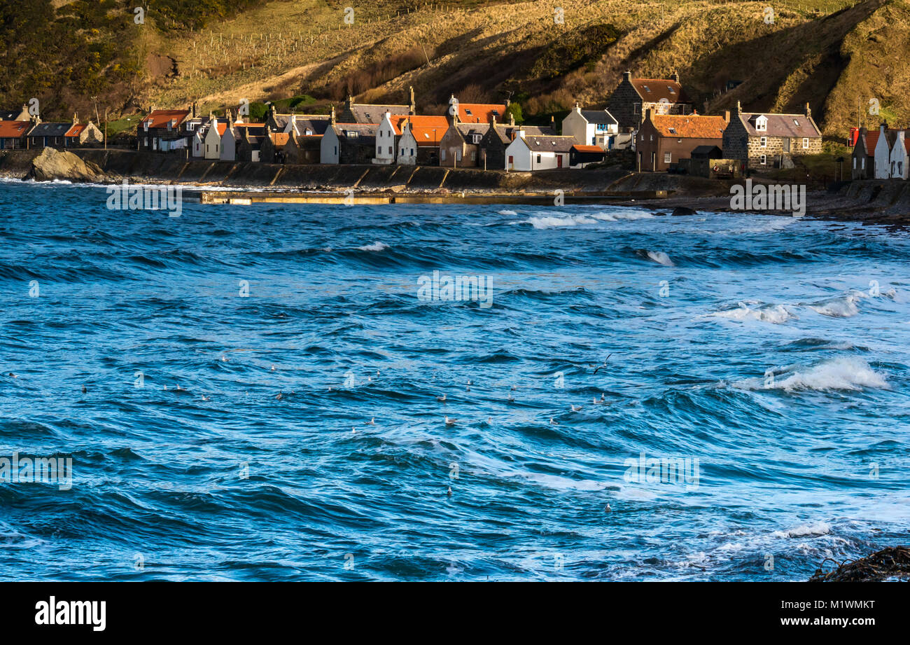 Crovie, Aberdeenshire, Scotland, Regno Unito. Venti forti e creare un picco nel mare del Nord lungo la costa nord-est della Scozia, con grandi onde spruzzi contro il litorale del piccolo e pittoresco villaggio di Crovie Foto Stock