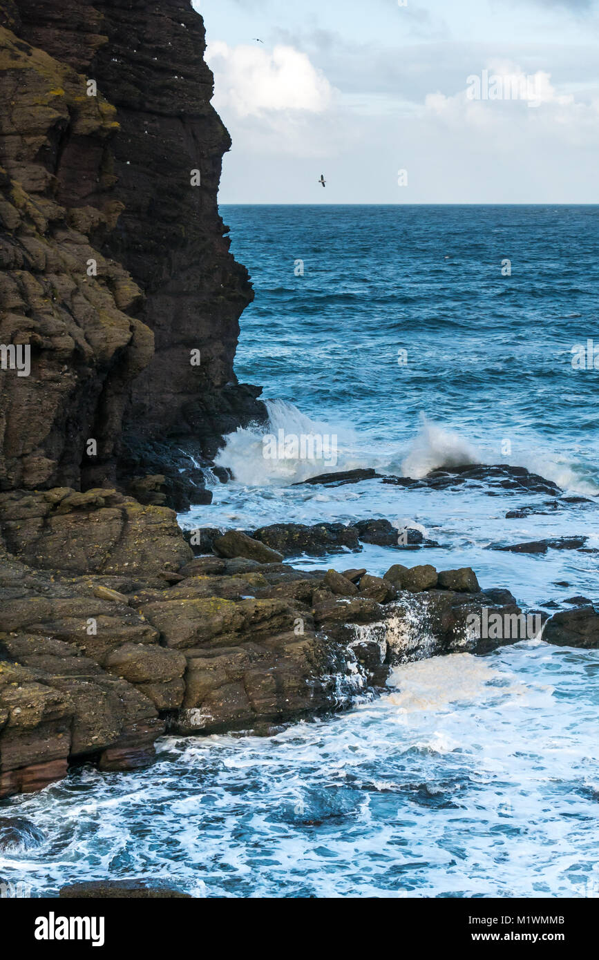 Aberdeenshire, Scotland, Regno Unito. Venti forti e creare un picco nel mare del Nord lungo la costa nord-est della Scozia, con grandi onde sbattimento contro scogliere rocciose Foto Stock