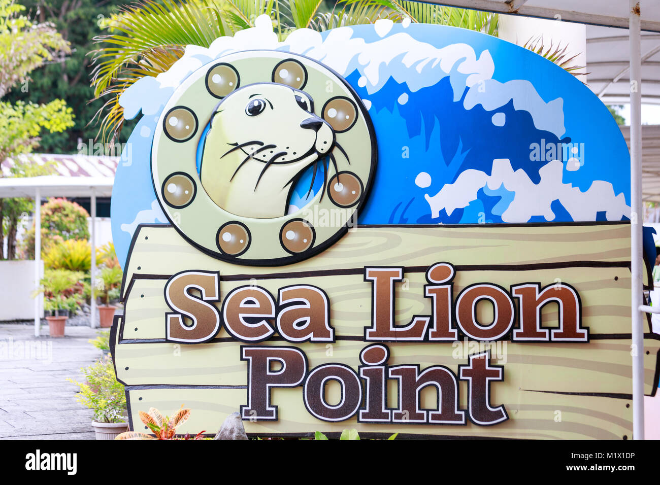 SUBIC BAY, Manila, Filippine : Jan 28, 2018 - Cartello di Sea Lion visualizza in Subic Ocean Adventure Foto Stock