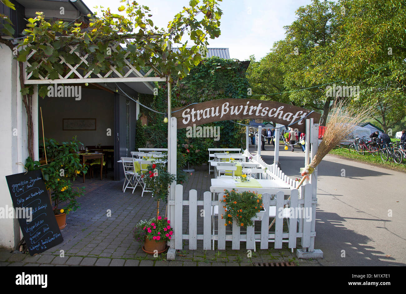 Strausswirtschaft, Besenwirtschaft, taverna vendita vino proprietarie a Brauneberg, Mosella, Renania-Palatinato, Germania, Europa Foto Stock