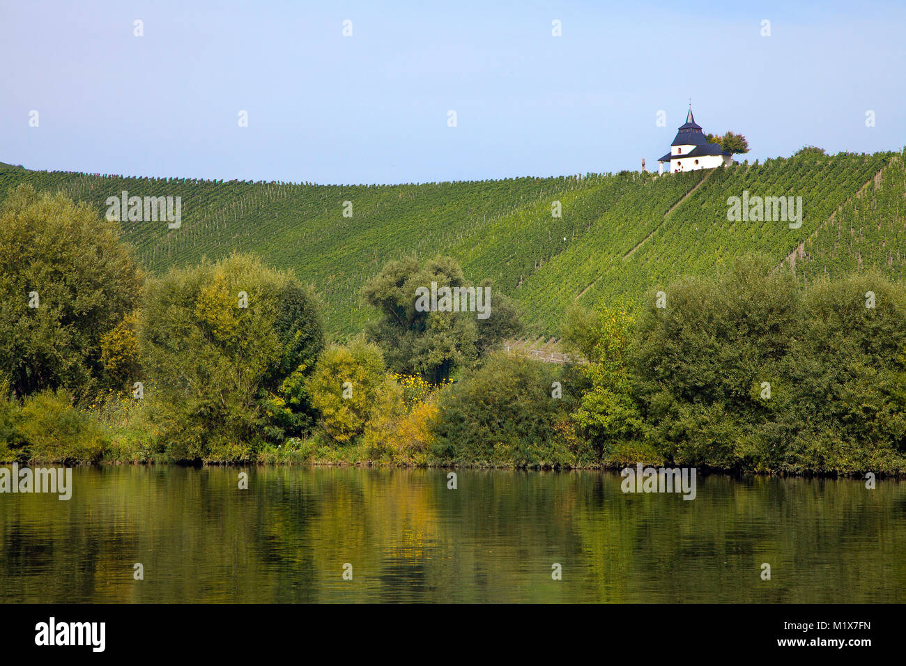 Riverside e la cappella sulla collina, morbidi colori autunnali, vista da Leiwen sul fiume Moselle, Renania-Palatinato, Germania, Europa Foto Stock