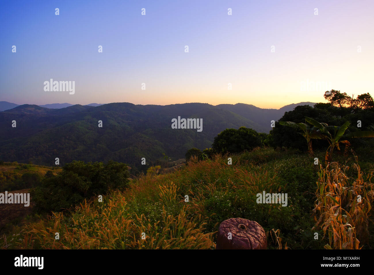 La natura vista montagna, foresta e cielo blu prima del tramonto Foto Stock