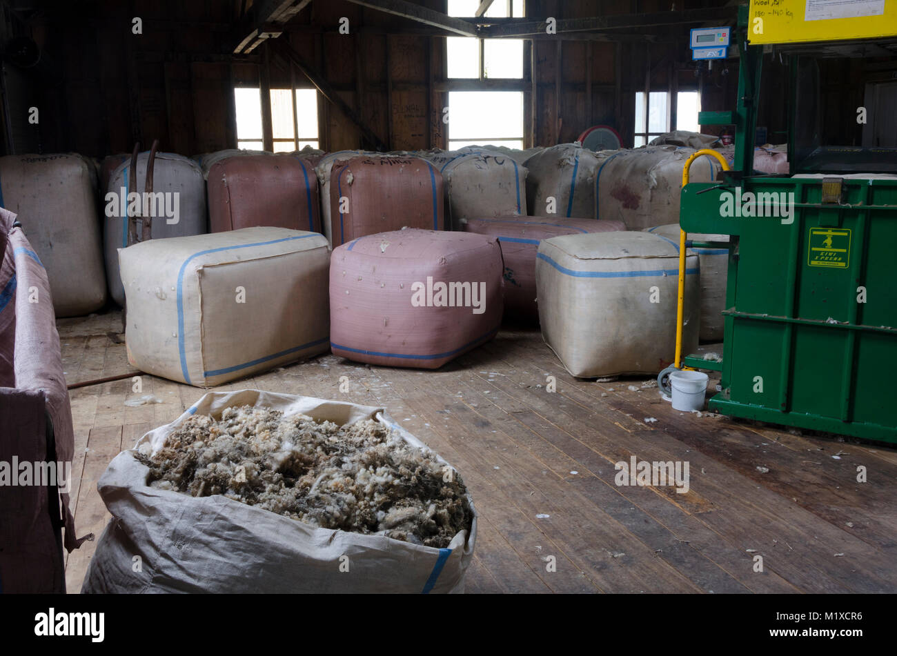 Woolshed interno, Glenburn, Wairarapa, Nuova Zelanda Foto Stock