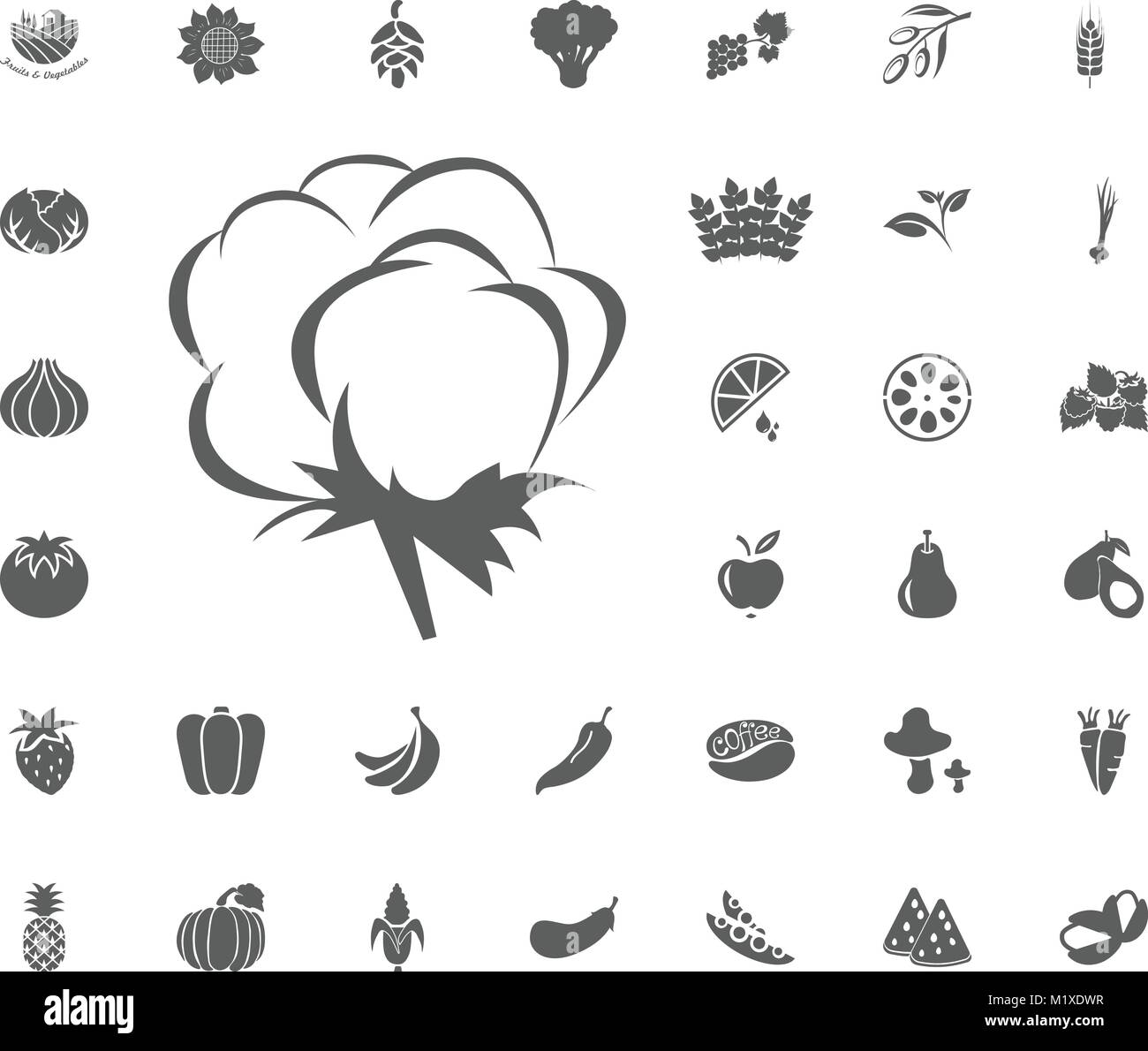 Icona di cotone. La frutta e la verdura illustrazione vettoriale icona set. Il cibo e i simboli di vegetali Illustrazione Vettoriale