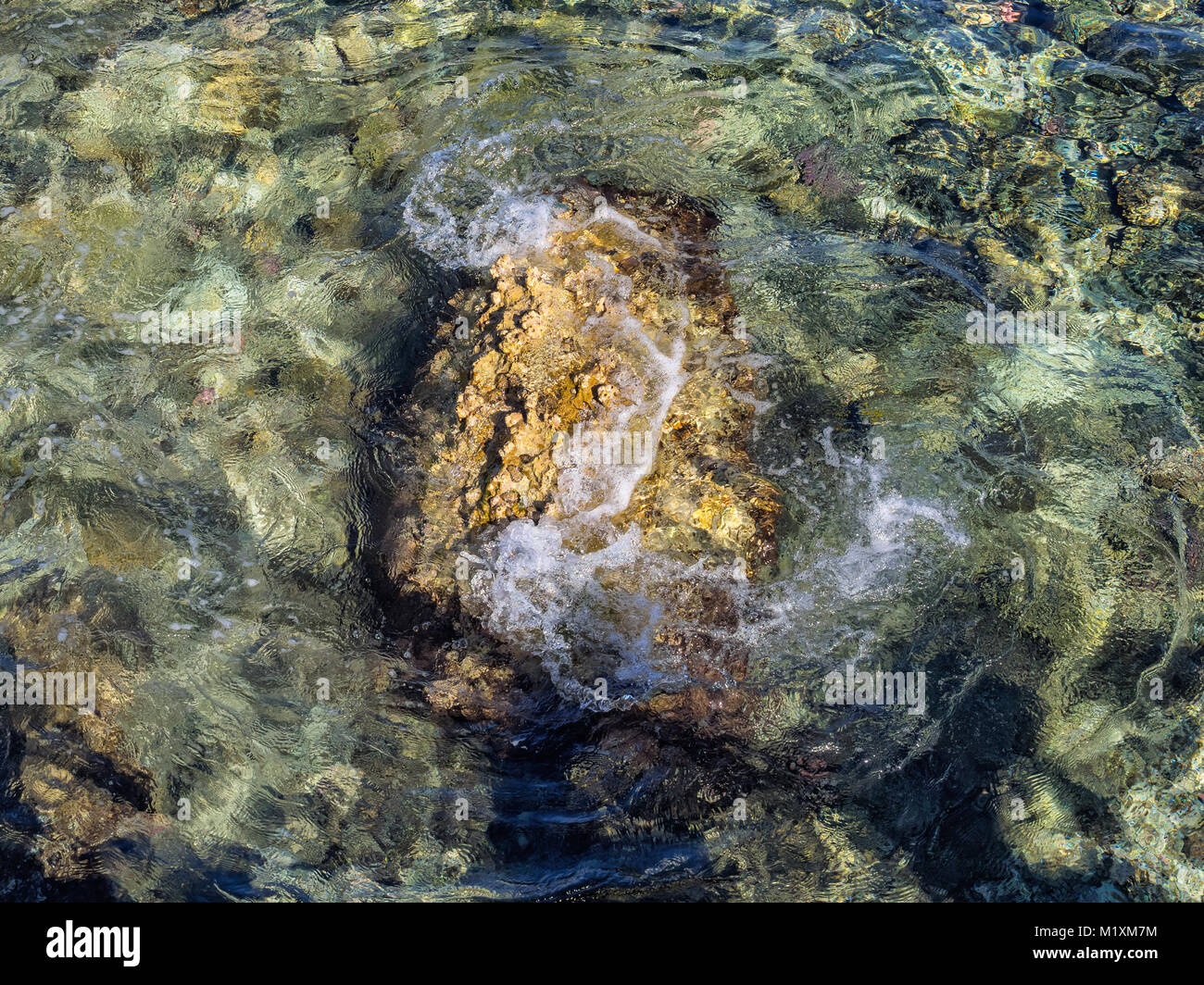 Coral reef visto dalla parte superiore in Sharm el-Sheikh Sinai, Egitto Foto Stock