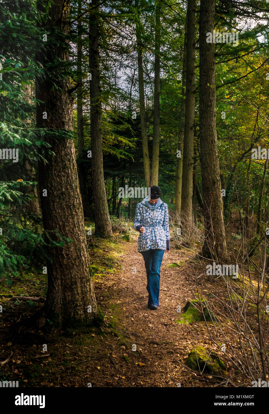 Giovane donna solo a piedi lungo un sentiero frondoso profonda nel bosco Foto Stock