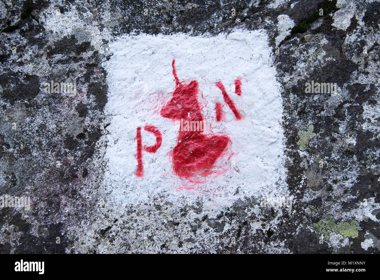 Simbolo del confine del Parco Nazionale dei Pirenei dipinta su una roccia Foto Stock