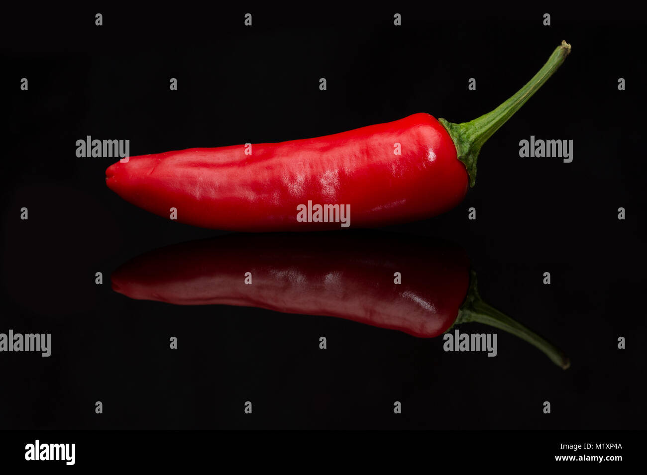 Un Peperoncino Rosso (peperoncino) Pepe con la riflessione su una lucentezza su sfondo nero Foto Stock
