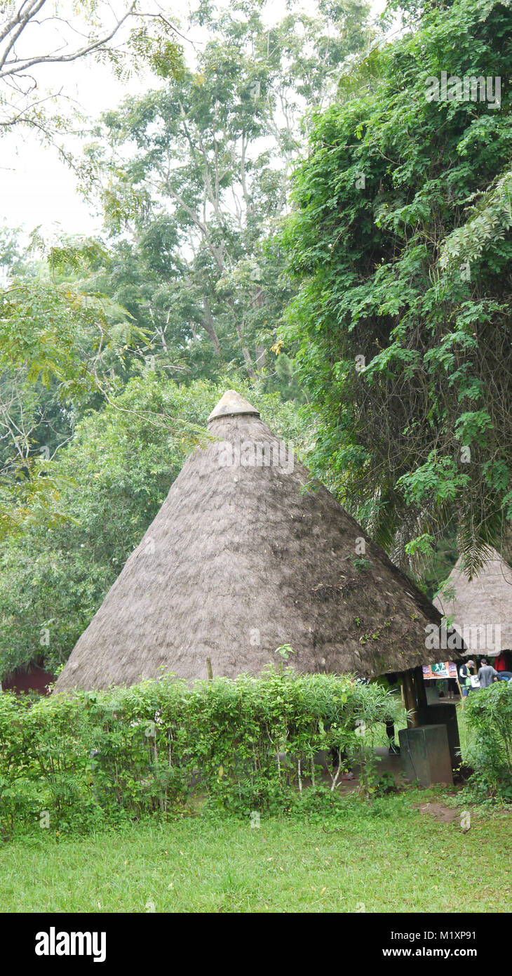 La copertura degli alberi a Mpanga Forest in Mpigi, Uganda Foto Stock
