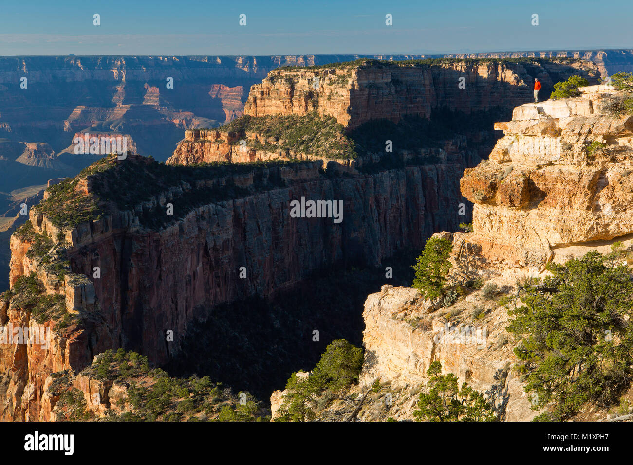 Adrian Klein sorge lungo il bordo del North Rim del Grand Canyon. In Arizona, Stati Uniti d'America Foto Stock