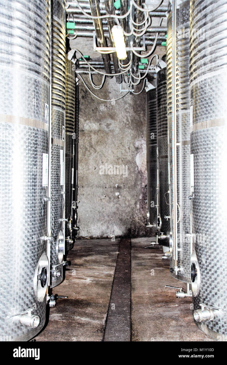 Materie di moderni serbatoi in acciaio inox per il vino in una cantina di vini Foto Stock