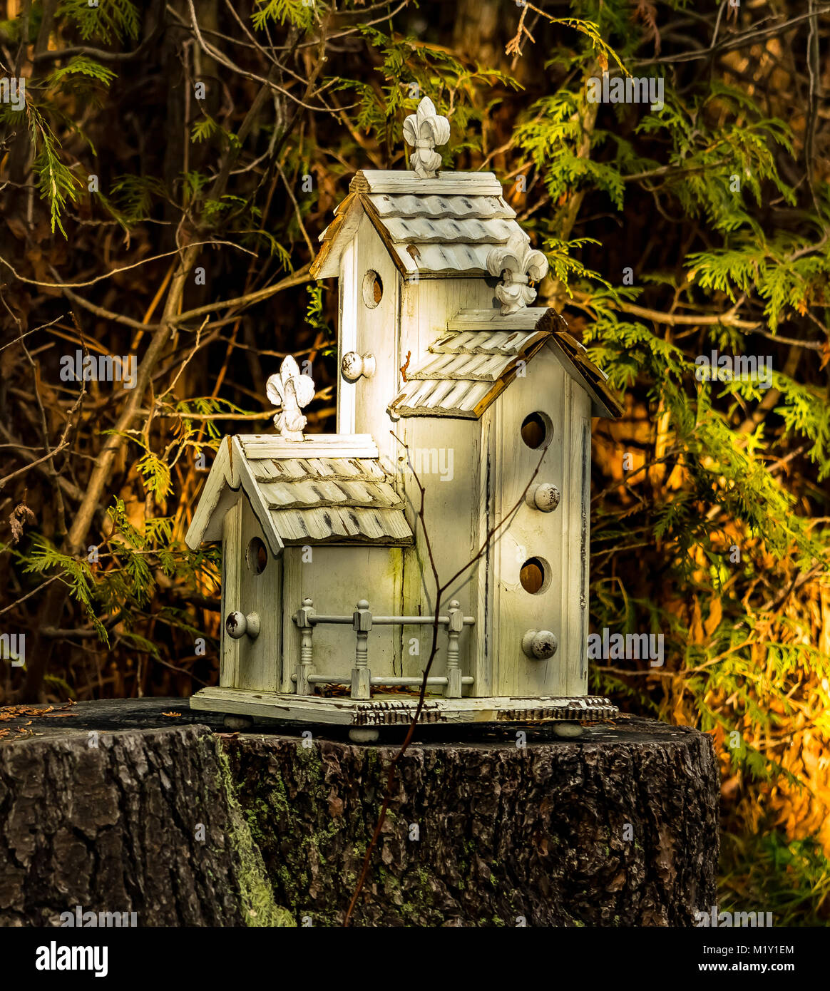 Crfty bird house Foto Stock