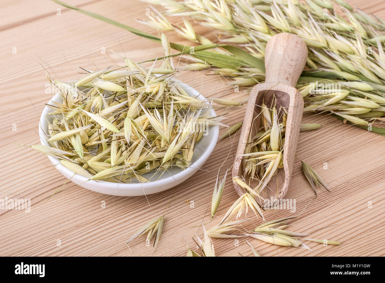 Il cucchiaio di legno e vaso di porcellana con oat essiccato Foto Stock