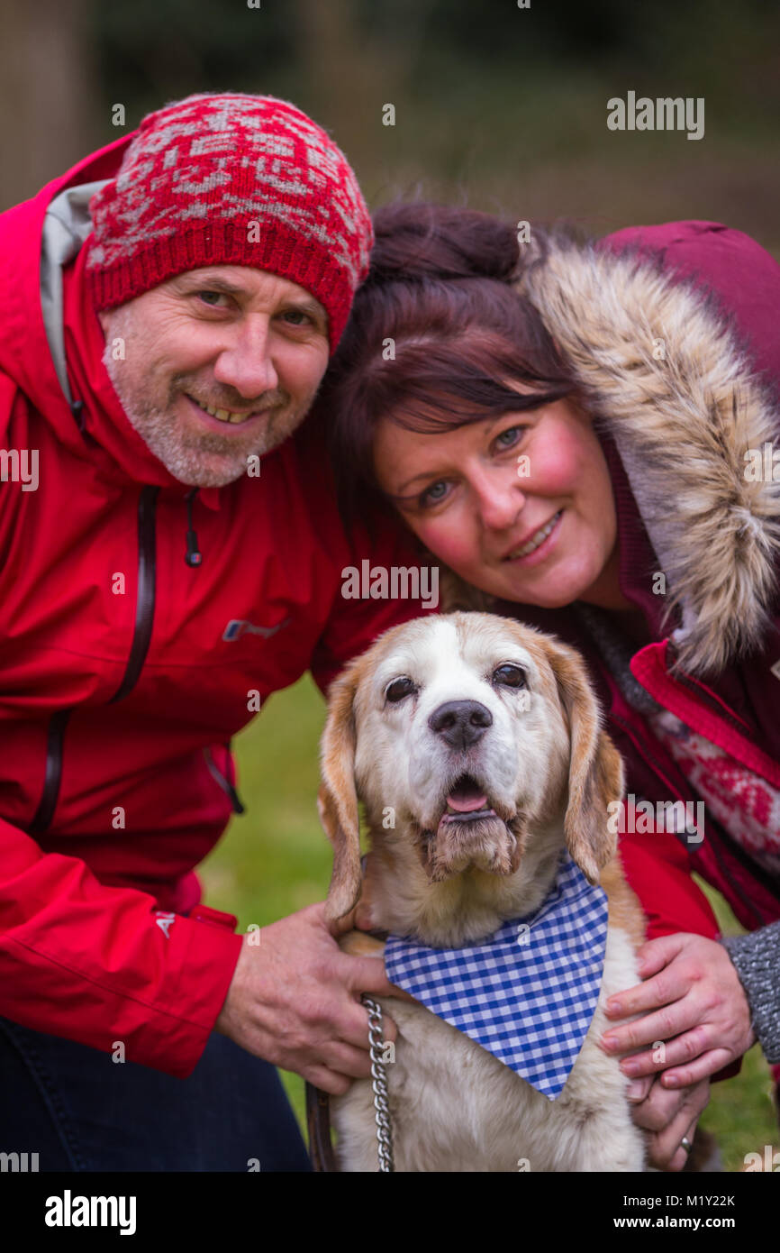 Due adulti giovane con i loro animali domestici cani beagle nel Parco in inverno Foto Stock