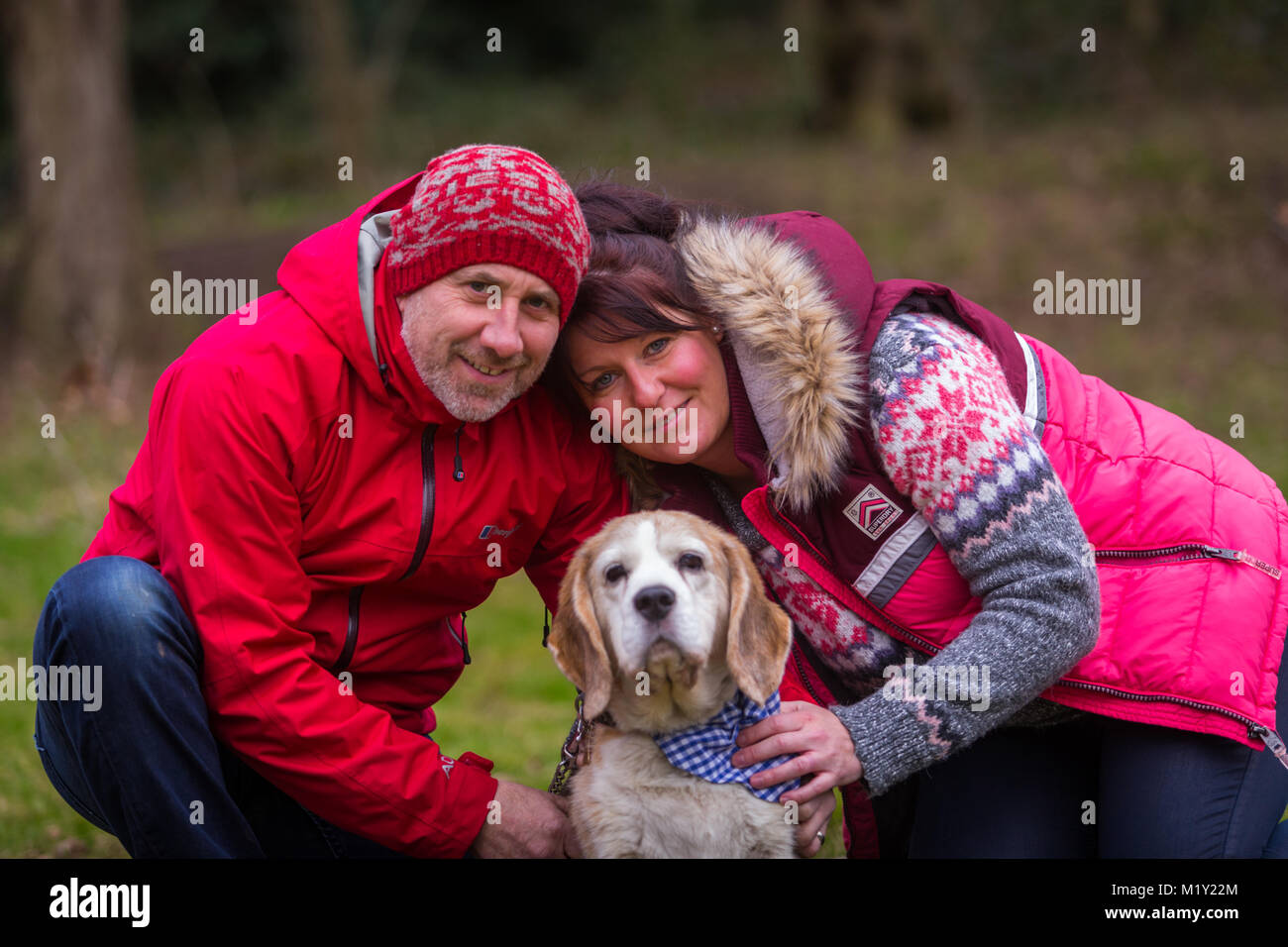 Due adulti giovane con i loro animali domestici cani beagle nel Parco in inverno Foto Stock