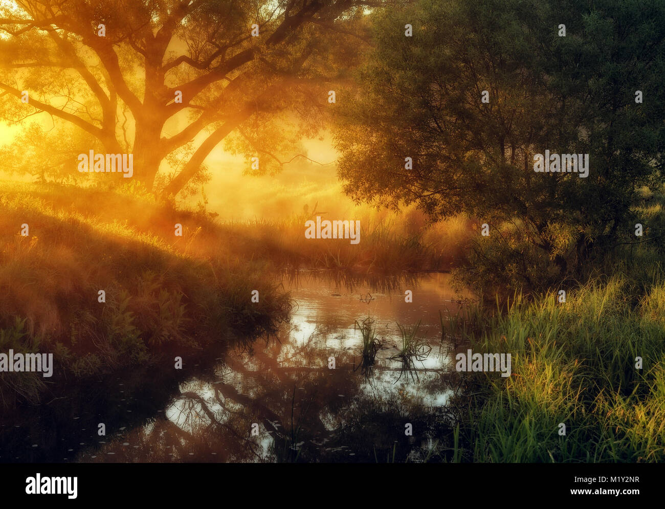 Mattina di primavera. un pittoresco Foggy Dawn dal fiume. Raggi di sole Foto Stock