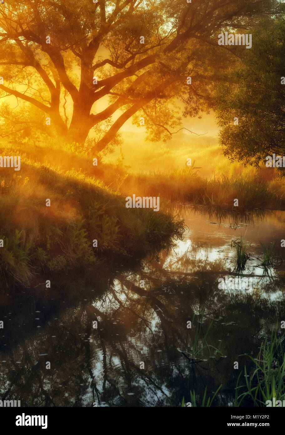 Mattina di primavera. un pittoresco Foggy Dawn dal fiume. Raggi di sole Foto Stock