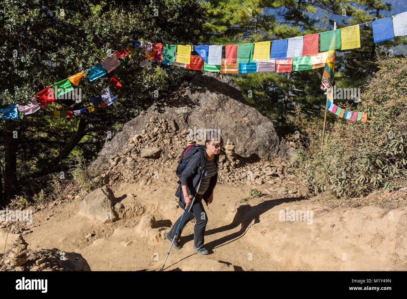 Paro, Bhutan. Escursionista passando la preghiera bandiere sul sentiero per Tiger's Nest monastero. Foto Stock