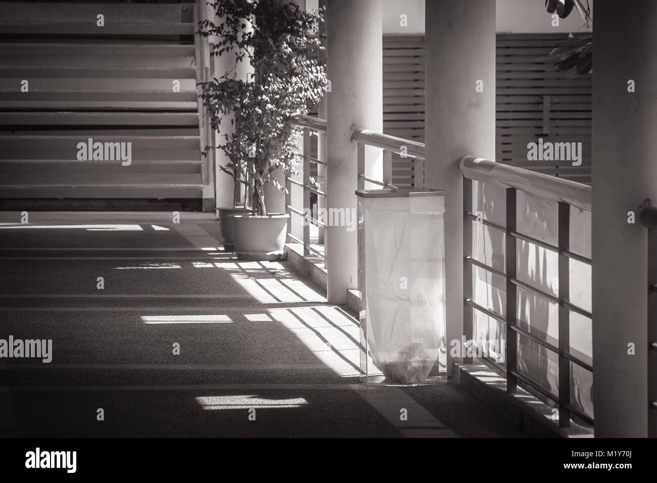 Abstarct immagine in bianco e nero trasparente di cestino impostazione sul pavimento di cemento accanto al sentiero o la passerella. Foto Stock