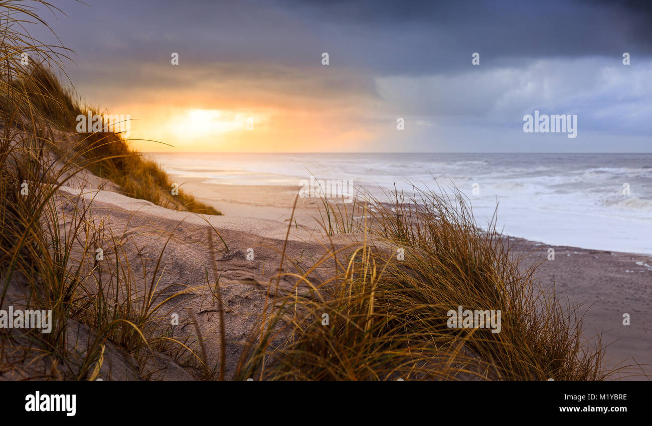 Spiaggia Vicino Hvide Sande in un bel pomeriggio di sole in gennaio Foto Stock