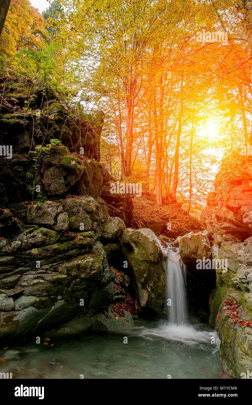 La cascata di acqua di fiume nel bosco in autunno Foto Stock