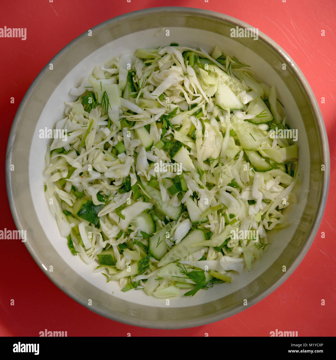 Top vista ravvicinata di fresca insalata primavera oaf cavolo tagliato a fette con il cetriolo, la cipolla verde e aneto t è in tondo vaso in ceramica. Foto Stock