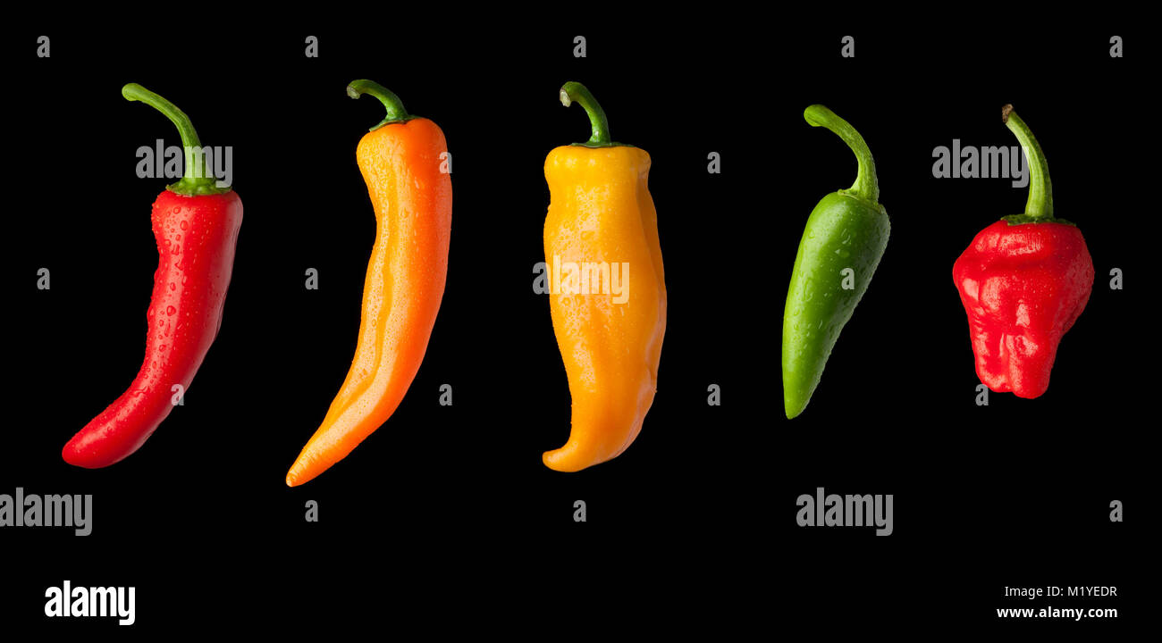 Una varietà di coloratissimi chili peppers coperti in fresco di goccioline di acqua viene tagliata in una linea su uno sfondo nero. Foto Stock
