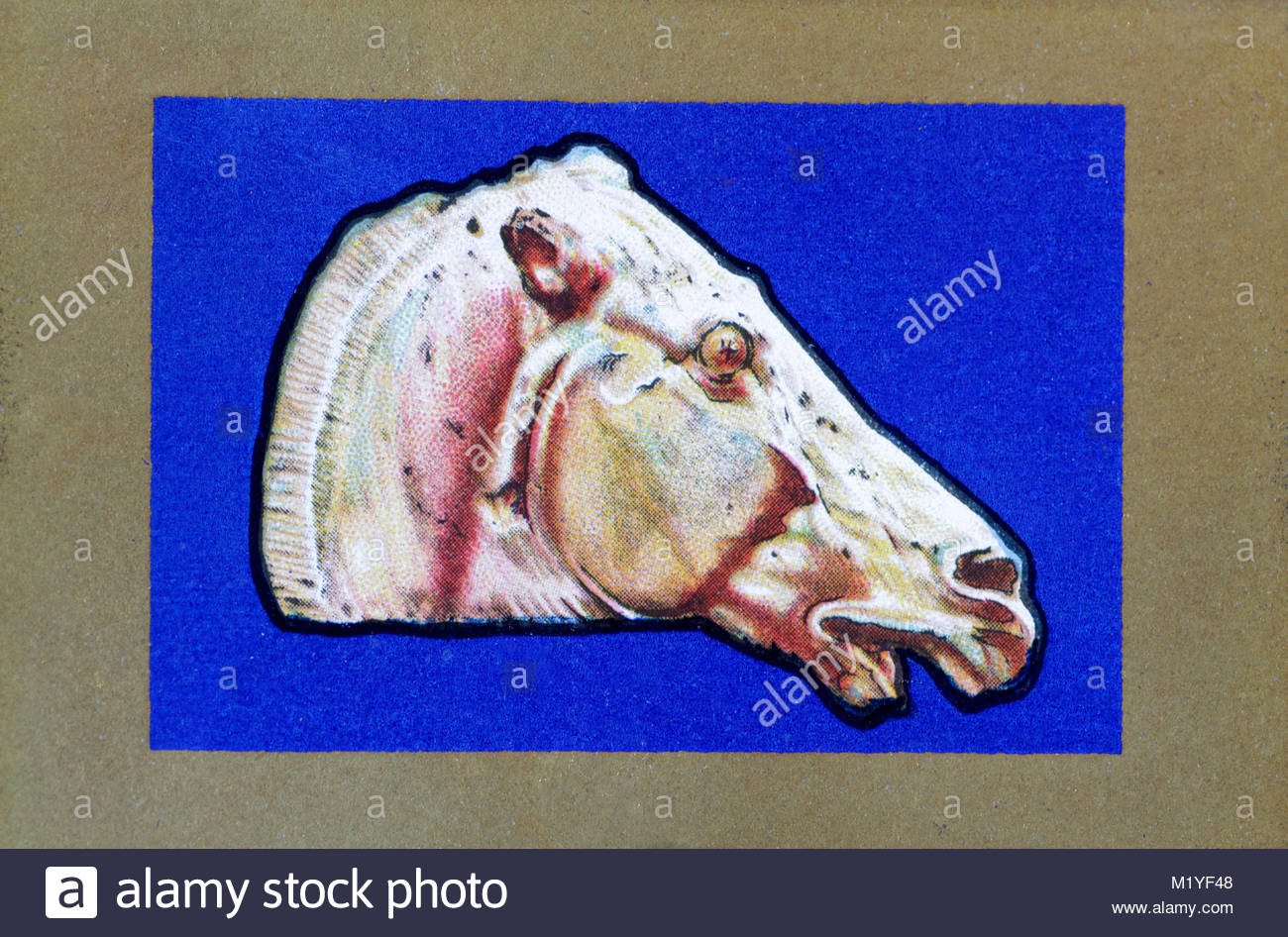 British Museum - il cavallo di illustrazione Pheidias Foto Stock