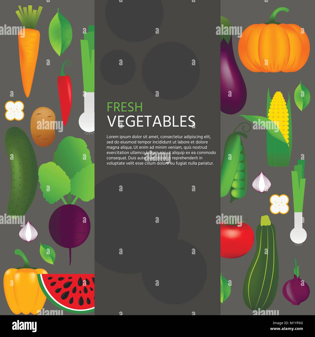 Raccolta di sano realismo di verdure quali: carota pomodoro, peperone, melanzana, zucca, midollo, zucchine. Vettore di qualità banner circa la dieta, ce Illustrazione Vettoriale