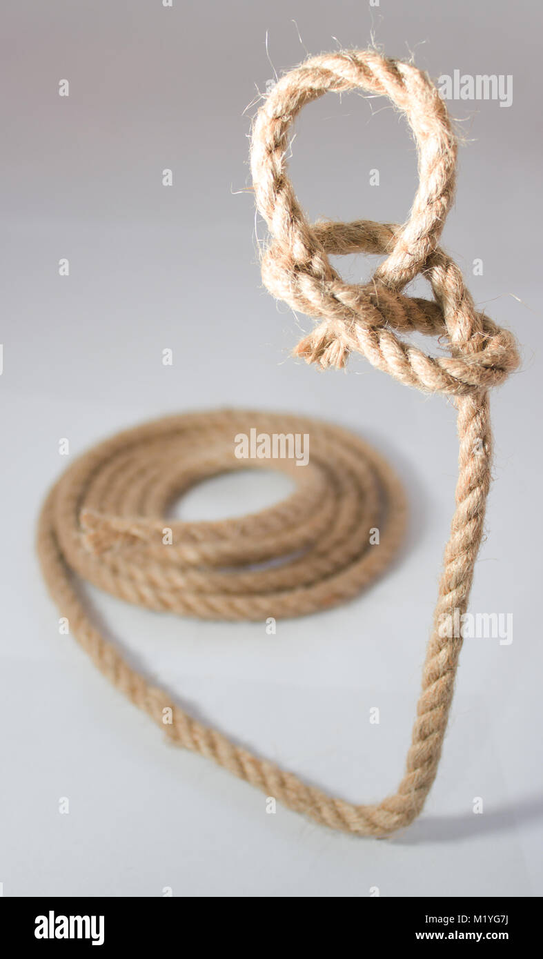 Su uno sfondo bianco è una corda con dragon loop. È focalizzata su un drago di loop che è illuminato. Foto Stock