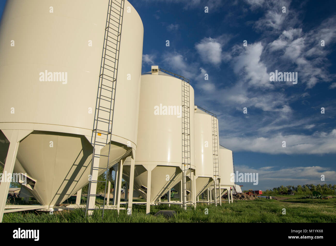 Alberta, Canada. Vista laterale di 4 silos per il grano in primavera. Foto Stock