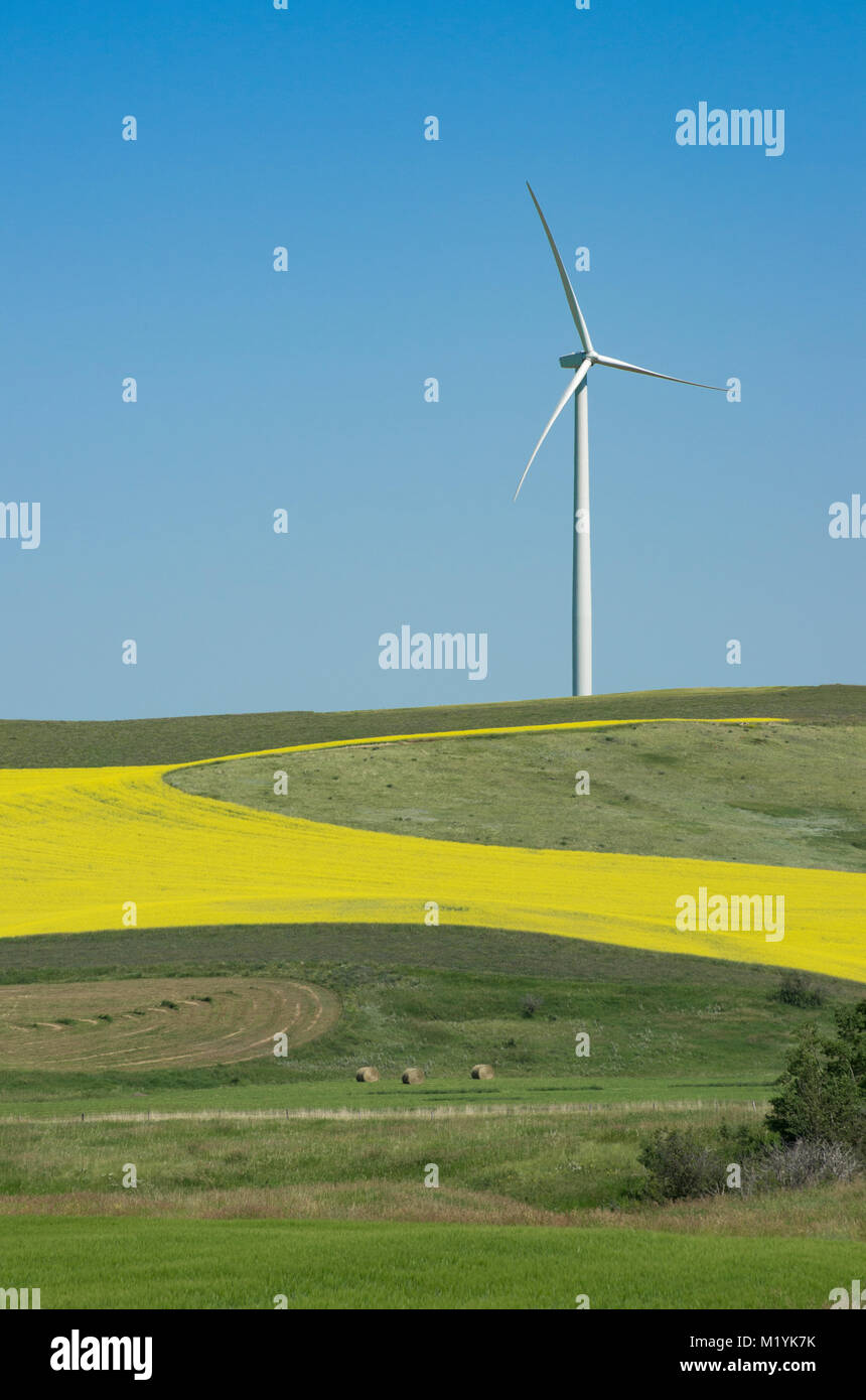 Alberta, Canada. Turbina eolica e campi nelle colline di svernamento a sud di Drumheller. Foto Stock