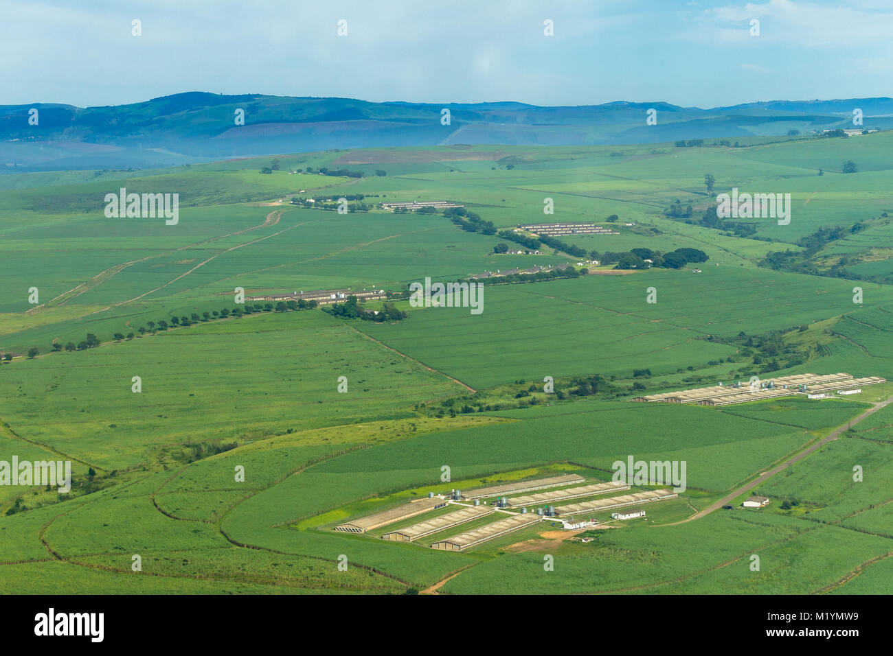 Uccelli in volo-eye terreni agricoli a colture penne di pollo panorama della valle verde estate foto. Foto Stock