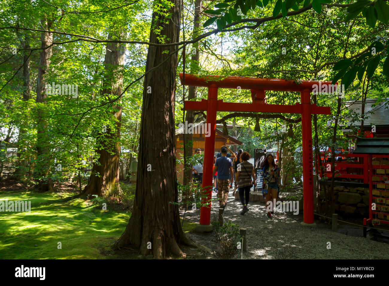 Alcuni turisti a piedi attraverso il red torii presso la foresta di Arashiyama a Kyoto, Giappone Foto Stock